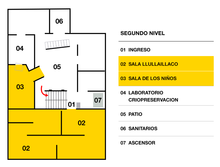  LOS NIÑOS DEL  LLULLAILLACO