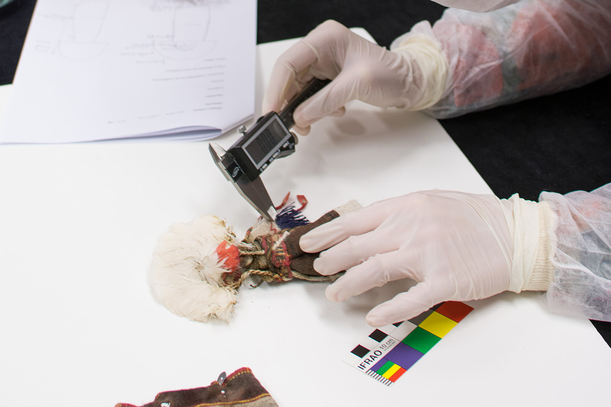Investigación